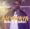 Dudu T. Niyukuri - Ah YaYaYa mp3 lyrics itunes full song download