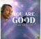 Frank Edwards - You Are Good mp3 download lyrics itunes full song