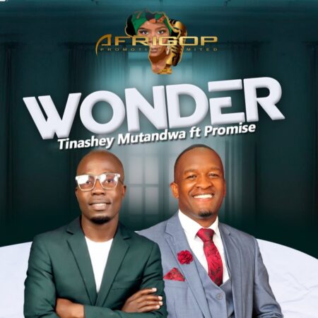 Tinashey Mutandwa - Wonder ft. Promise mp3 download lyrics itunes full song