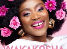 Janet Manyowa - Wakakosha mp3 download