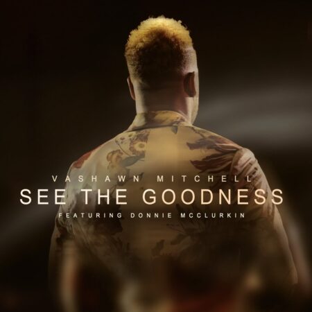 VaShawn Mitchell - See The Goodness mp3 download