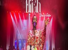 Diana Hamilton - Days of Elijah mp3 download