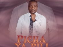 Ambwene Mwasongwe - Picha ya Pili mp3 download lyrics