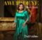 Diana Hamilton - Awurade Ye (Do It Lord) mp3 download lyrics