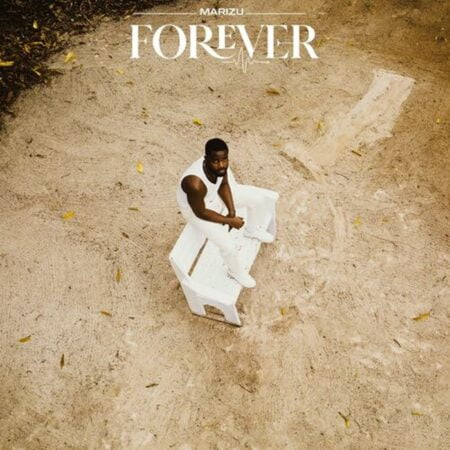 Marizu - Forever mp3 download lyrics itunes full song