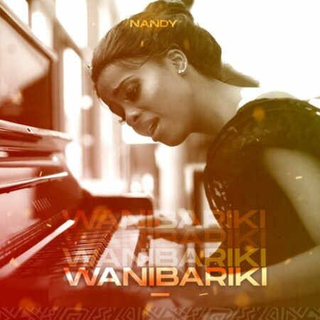 Nandy - Wanibariki mp3 download lyrics