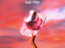 Wande, DOE - Wild & Free mp3 download lyrics