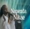 Worshippers Gathering International - Napenda Nikae mp3 download lyrics