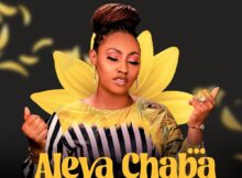 Noella - Aleya Chaba (You've done more than enough) mp3 download lyrics