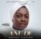 Adeyinka Alaseyori - Anu De mp3 download lyrics itunes full song